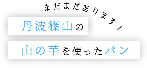 丹波篠山 山の芋を使ったパン